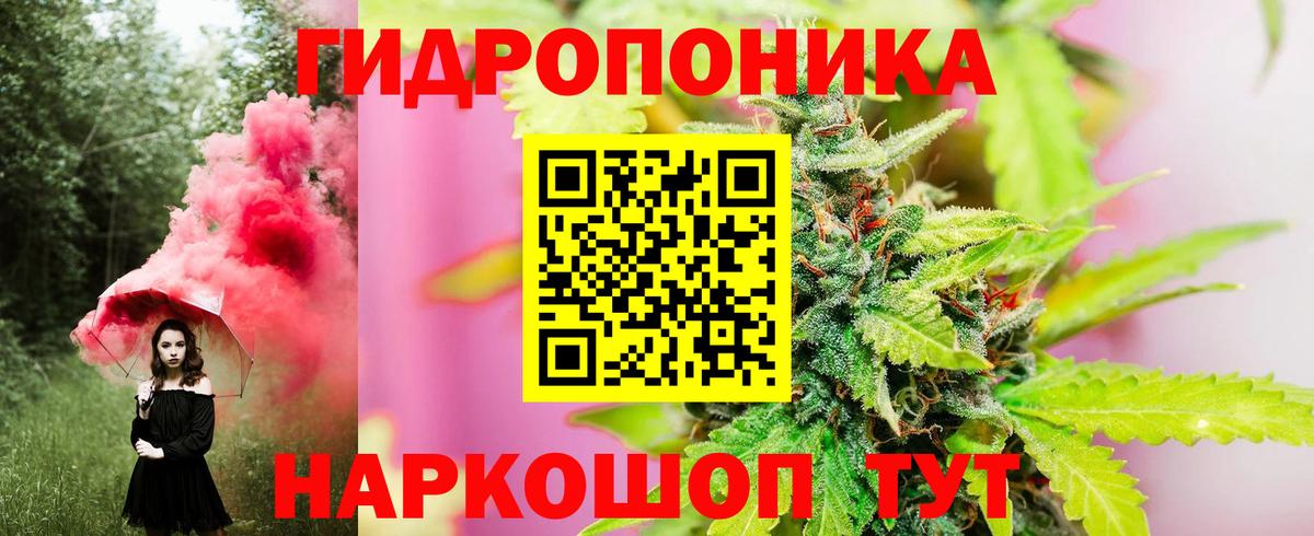 Конопля конопля Кушва